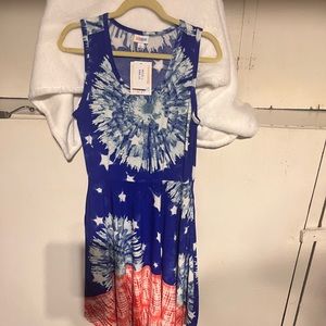 New Large LLR Patriotic Nicki Dress
